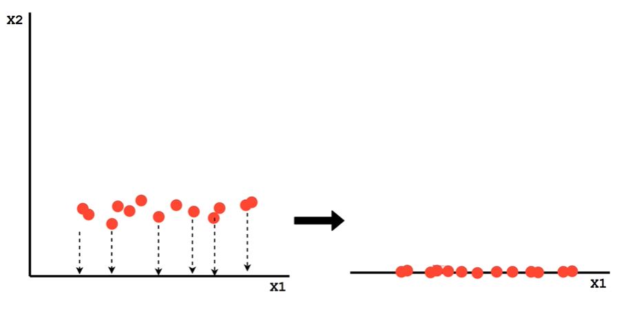 Reducción de la dimensionalidad: Análisis de Componentes ...